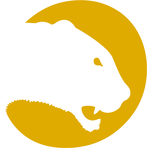 Favicon | Agence de communication | Com' la lionne